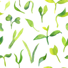 Seamless green watercolor pattern. Hand drawing sprouts microgreens isolated on white.