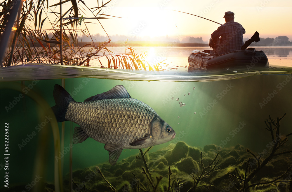 Wall mural Fishing background. Close-up shot of a fish hook under water.	
 - Wall murals