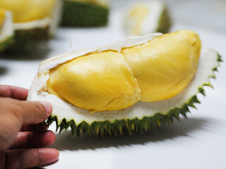 Hand woman hold Durian fruit with sharp bark Flesh, sweet yellow color