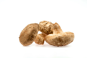 Group of Fresh Shiitake mushroom isolated on white background with clipping path and full depth of field.