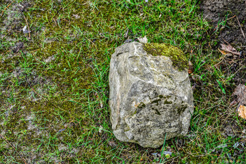Big stone against the background of grass.
