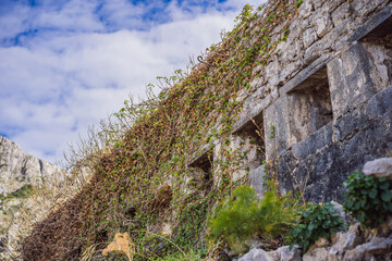 Montenegro. Bay of Kotor, Gulf of Kotor, Boka Kotorska and walled old city. Fortifications of Kotor is on UNESCO World Heritage List since 1979