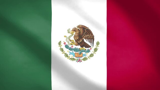 Mexican  Flag