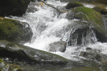 Natural Beauty of the Smokies, Streams and White Water