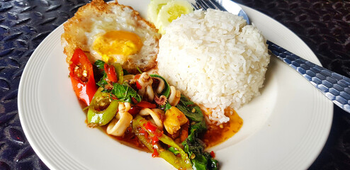 Close up Stir Fried Basil with squid, rice, sliced cucumber and fried egg in Thai style on white plate with copy space. Famous and spicy food on black stainless steel background.