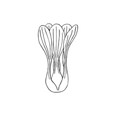 Pak choi hand drawn sketch vector doodle illustration. Chinese cabbage vegetables healthy food clipart