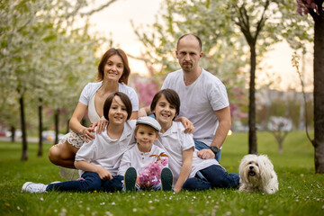 Beautiful family with kids, mom, dad, three boys and a dog, playing in park together