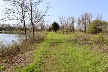 The empty path in the country on a sunny day.