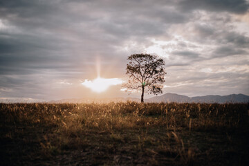Horizonte Vale do Paraíba