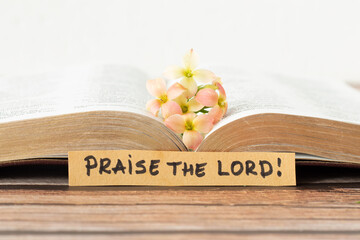 Praise the LORD, handwritten message quote, and open Holy Bible Book with golden pages and flowers...