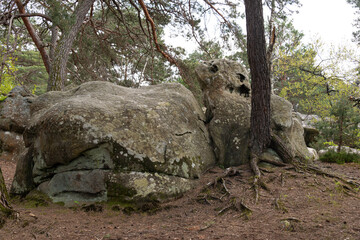 Rochers, Gorges de Franchard, Forêt de Fontainebleau, Seine et Marne, 78