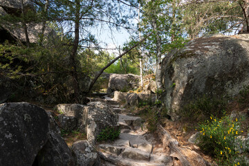 Rochers, Gorges de Franchard, Forêt de Fontainebleau, Seine et Marne, 78