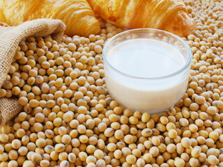 Glass of hot soy milk on lots of soy beans with sack of soy beans with some croissants 