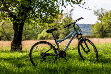bicycle waiting near tree against spring nature background