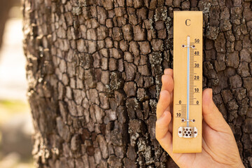 Wooden mercury thermometer measures extremely high temperature in a human hand against a big tree...