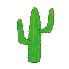 Cactus, a succulent native to Latin and North America
