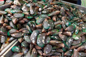 Fresh mussels are sold on the market.