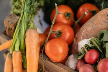 Frisches geerntetes Bio Gemüse in der Holzkiste in der Sonne