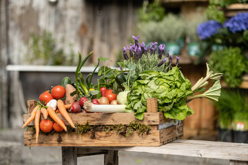 Frisches geerntetes Bio Gem&uuml;se in der Holzkiste in der Sonne