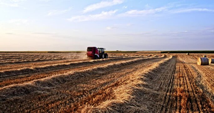 Agricultural farm tractor on a harvested wheat field baling hay