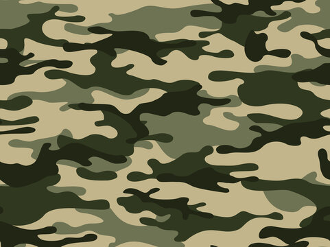 Seamless camouflage pattern. Army background. Military texture. Print. Vector illustration
