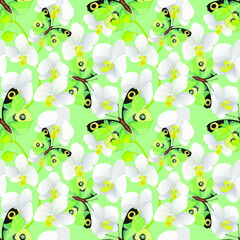 Beautiful bright green butterflies and white orchid flowers on a light green background. Floral seamless pattern, background, vector illustration