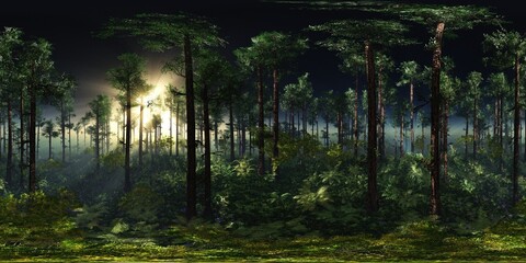 Trees in the fog. Environment map. HDRI map. equidistant projection. Spherical panorama. landscape
