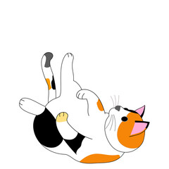 A playing calico cat with white background