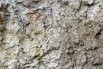 Rough surface of an old neglected wall, cracked,