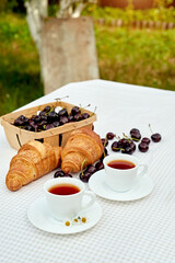 Black tea with fresh croissants and cherries on the table against white background. Flat lay, spring breakfast conceptual composition