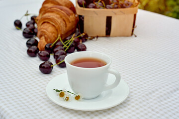 Black tea with fresh croissants and cherries on the table against white background. Flat lay, spring breakfast conceptual composition