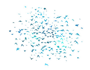 A flock of blue birds. Vector illustration