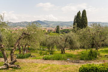 Fototapeta na wymiar landscape of green trees, grass and hills in Florence, Italy 