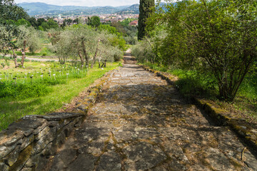 old stone path at botanical garden in Florence, Italy 
