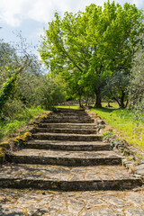 path of old stone steps in botanical garden in Florence, Italy 
