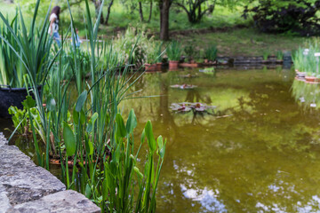 pond lake in botanical iris garden in Florence, Italy in Spring 