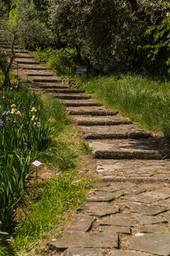 path of stone steps in in old Italian garden