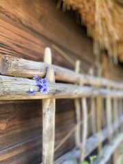Flower and wood