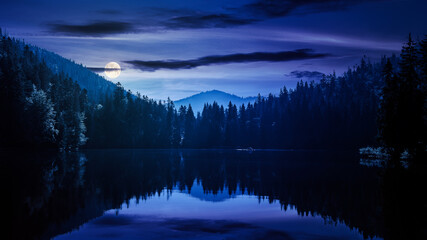 tranquil landscape with lake in summer at night. forest reflection in the calm water. beautiful...