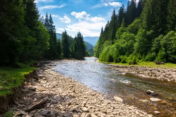 Fotobehang Bosrivier landscape with river running through valley. mountainous countryside scenery in summer. water flow along the rocky shore. sunny day with clouds on the blue sky