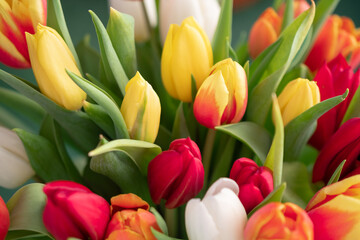 Obraz premium Close-up of a bouquet of tulips