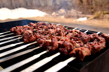 Cooking barbecue on skewers in nature. Barbecue season open