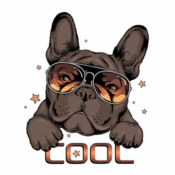 French bulldog in sunglasses. Vector illustration in hand-drawn style . Image for printing on any surface
