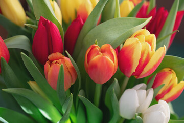 Close-up of a bouquet of tulips