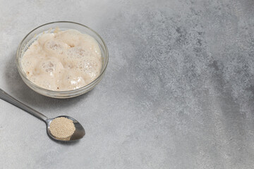 A bowl of yeast fermentation and a spoon with dry yeast on a light background