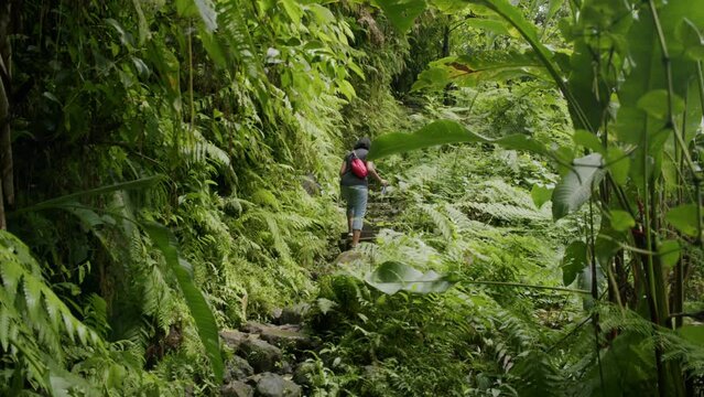 Guadeloupe Les Chutes du Carbet Hiking Waterfalls Woman Climbing Up