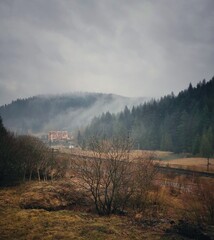 Fog in the mountains