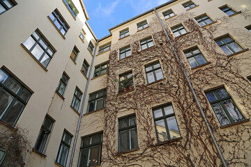 Obraz premium House in the Hackesche Hoefe - Berlin, Germany