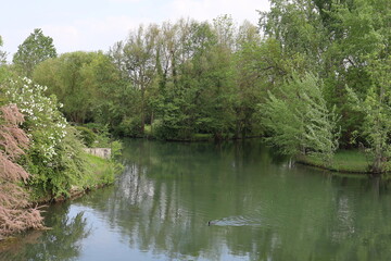 La rivière Voiselle dans Bourges, ville de Bourges, département du Cher, France