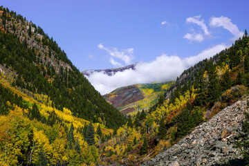 Rocky Mountain Fall Foliage